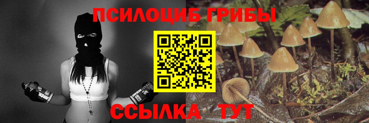 Галлюциногенные грибы Psilocybine cubensis  Вход с VPN  Екатеринбург 